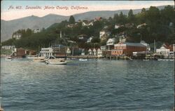 Harbor Scene Postcard