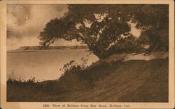 View of Bolinas from Bay Road Postcard