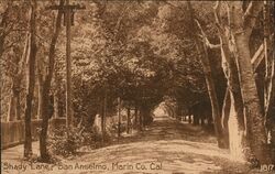 Shady Lane, San Anselmo, Marin Co. Cal. Postcard