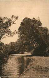 View on Paper Mill Creek Postcard