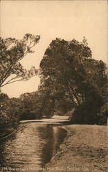 View on Paper Mill Creek Postcard