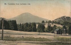 View of Mt. Tamalpais Postcard