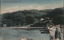 Inverness near Petaluma, Cal. Postcard