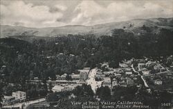 View of Town Looking Down from Miller Avenue Mill Valley, CA Postcard Postcard Postcard