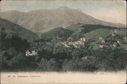 mount Tamalpais Postcard