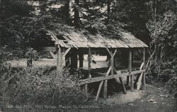 Old Mill, Mill Valley, Marin Co. California Postcard Postcard Postcard