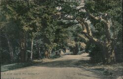 A drive way in Mill Valley Postcard