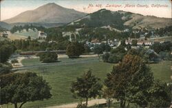 Larkspur, Marin County California Postcard Postcard Postcard