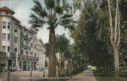 St. James' Hotel and West End of St. James Park Postcard