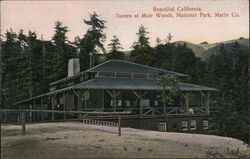 Tavern at Muir Woods, National Park Postcard