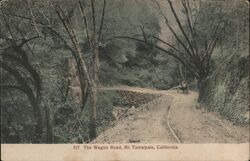 The Wagon Road Mt Tamalpais, CA Postcard Postcard Postcard