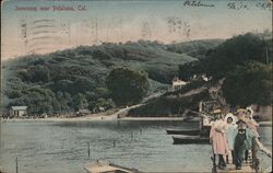 Inverness near Petaluma California Postcard