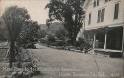 Main Road to health, at Burke Sanitarium Postcard