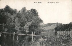 Foot bridge Postcard