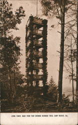 Living Tower, made from four growing redwood trees Camp Meeker, CA Postcard Postcard Postcard