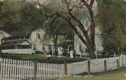 Our popular summer Resort, McCray's Cloverdale, CA Postcard Postcard Postcard