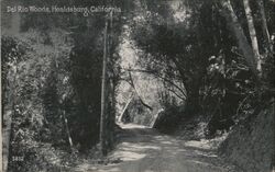 Del Rio Woods Postcard