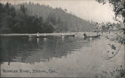 Russian River Hilton, CA Postcard Postcard Postcard