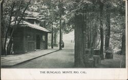 The Bungalo Postcard