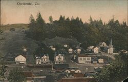 View of Town Occidental, CA Postcard Postcard Postcard