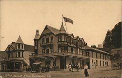 Altamont Hotel Postcard