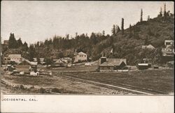 Town View Occidental, CA Postcard Postcard Postcard