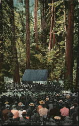 Concert in Bohemian Grove Postcard