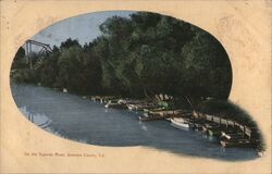 On the Russian River in Sonoma County California Postcard Postcard Postcard