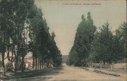 A view of Broadway Postcard