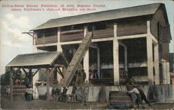 Italian-Swiss Colony Distillery Where California's Choicest Brandies Are Made Postcard