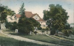 House and Yard Postcard