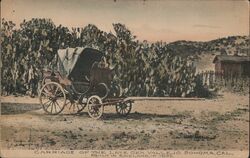 Carriage of the late Gen. Vallejo, Sonoma, CA, Built in England in 1832 Postcard