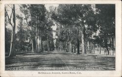 McDonald Avenue Santa Rosa, CA Postcard Postcard Postcard