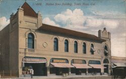 Native Sons Building Postcard