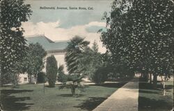 McDonald Avenue Postcard