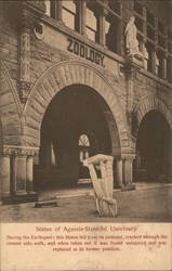 Statue of Agassiz-Stanford University Postcard