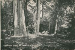 Cottage of Mrs. H. C. Capwell Postcard