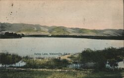 Kelley Lake Postcard