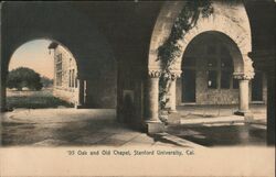 '95 Oak and Old Chapel, Stanford University Postcard