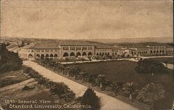 Stanford University Postcard