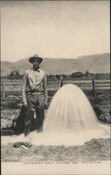 Artesian well, tulare, cal, Valley Line California Postcard Postcard Postcard