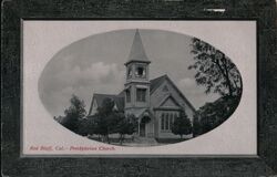 Presbyterian Church Postcard