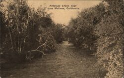 Antelope Creek Postcard