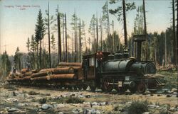 Logging Train in Shasta County Postcard