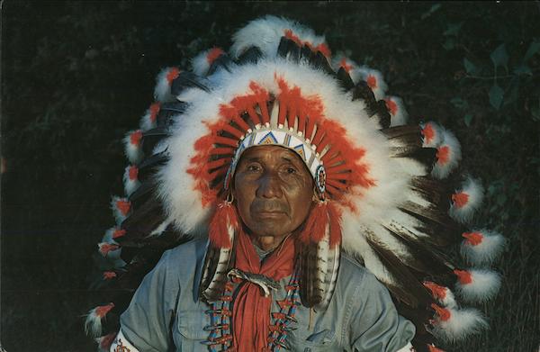 Daniel Hornbuckle Cherokee Indian Native Americana Large Format Postcard