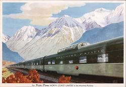 The Vita-Dome North Coast Limited Trains, Railroad Large Format Postcard Large Format Postcard Large Format Postcard