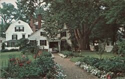 Gardens in the Summertime. Phelps-Hatheway House Postcard