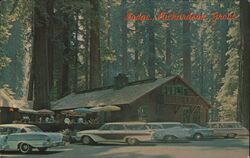 Lodge -Richardson Grove State Park - Redwood Highway California Hubert Lowman Postcard Postcard Postcard