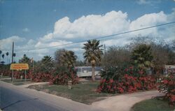 Palm City Trailer Park Postcard