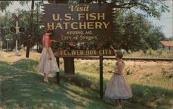 City of Springs and Flower Boxes - Visit US Fish Hatchery Neosho, MO Postcard Postcard Postcard